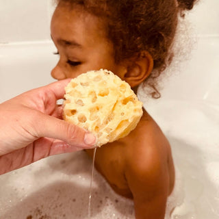 Organic Sea Sponge