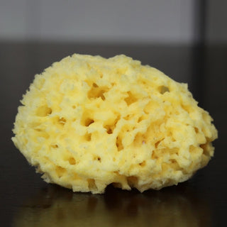 Organic Sea Sponge