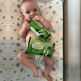 Bamboo Wipes 12 Pack