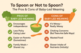🥦 To Spoon or Not to Spoon? The Pros & Cons of Baby-Led Weaning