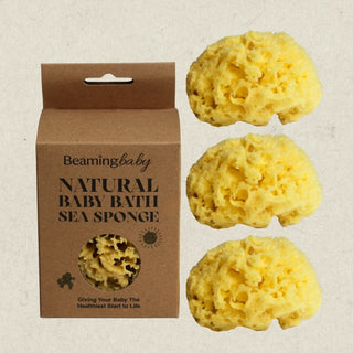 Organic Sea Sponge