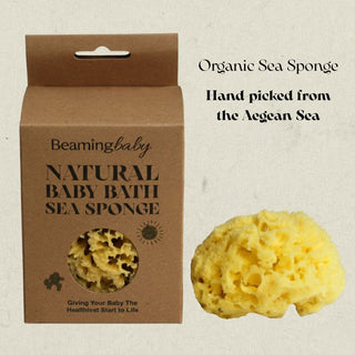 Organic Sea Sponge